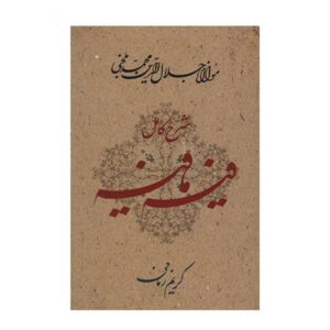 فيه ما فيه للرومي (الطبعة الفارسية)