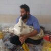 مزمار الماعز الإيراني الاحترافي - ناي أنبان