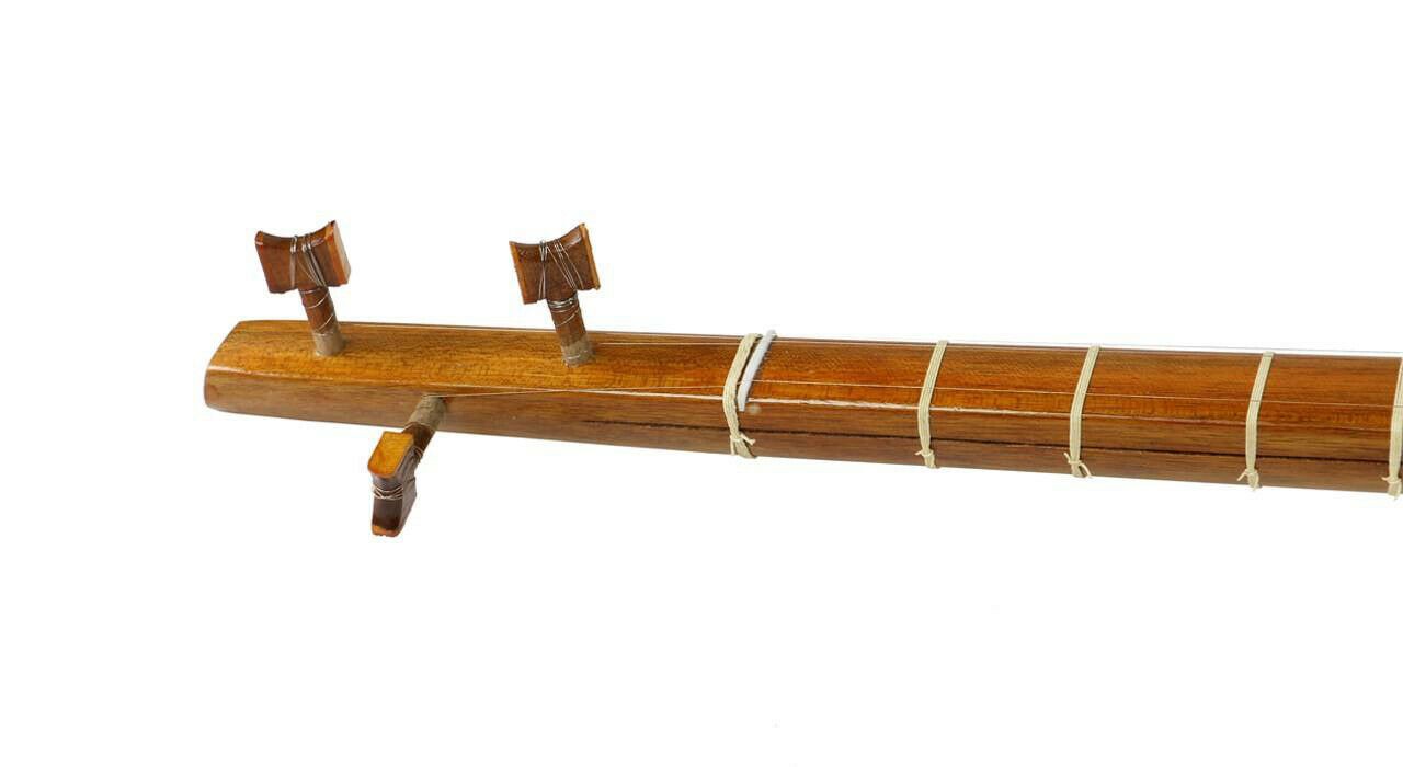 آلة الطنبور الإيراني من أكبري، طراز اقتصادي