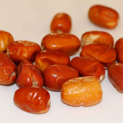 ثمار الزيتون الروسي المجفف  – 2500 غرام