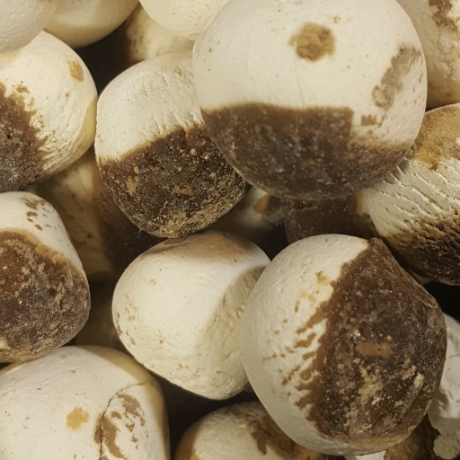 كشك إيراني أبيض وأسود مختلط – جاف 800 جرام