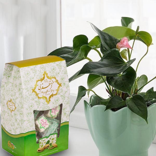 مظفري من السما (حزمة 3x): فستق – نوجا إيرانية مع ماء الورد