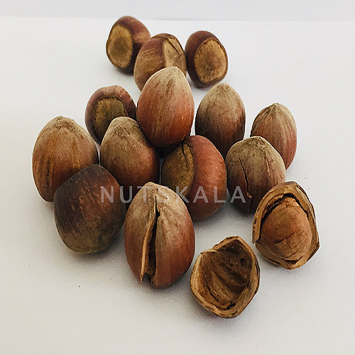 الجوز الإيراني الخام كامل – 900 جرام