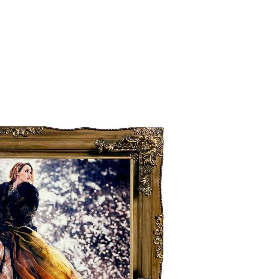 سجادة تصويرية تصويرية تصوير الفروسية