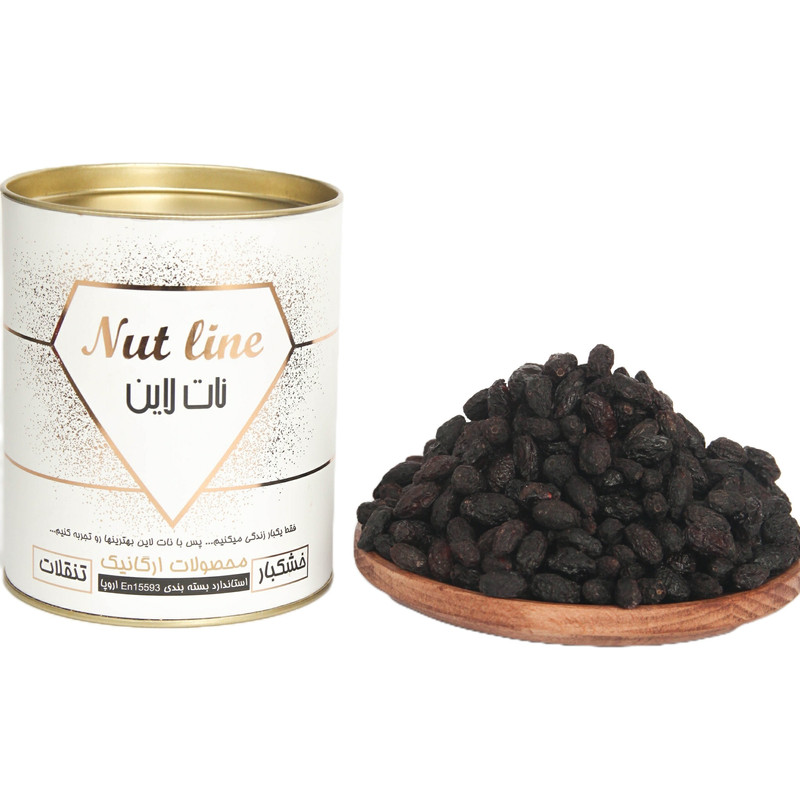 كرز كورنيلي مجفف إيراني – 2500 غرام