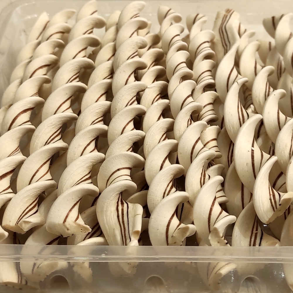 حلوى مشهدية بنكهة الزنجبيل (800 جرام)