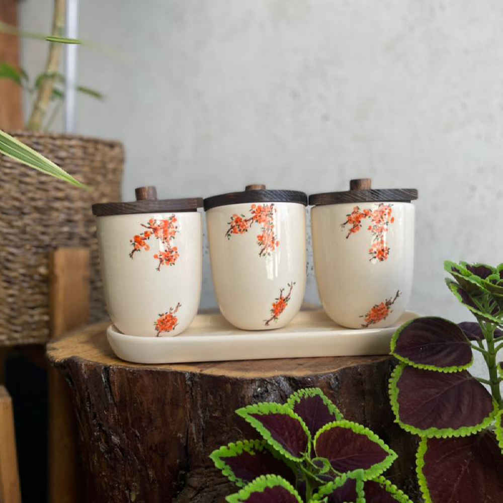 طقم علب سيراميك – مثالي لتخزين وتنظيم المطبخ، ربيع (3x)