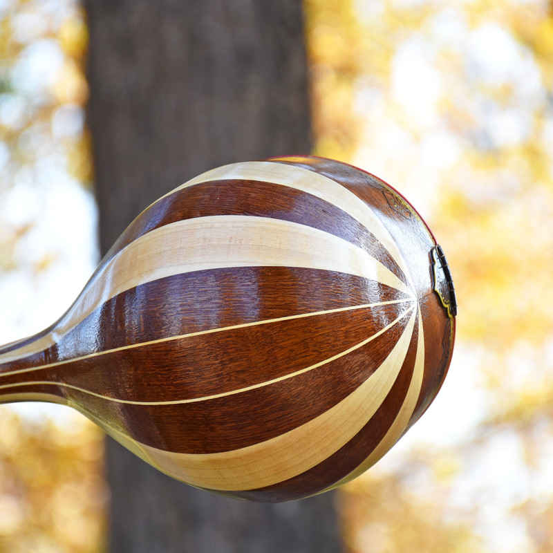 الآلة الوترية الإيرانية “سهتار” مصنوعة يدوياً بواسطة إيرانساز – طراز عشقك