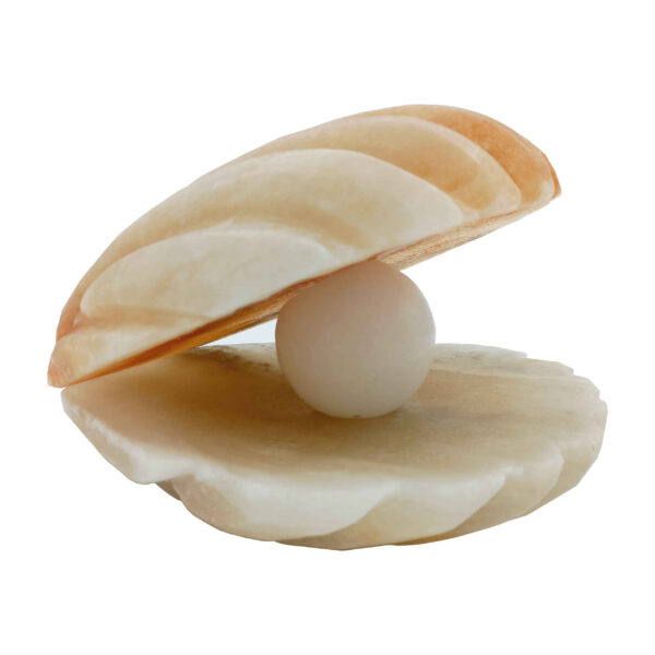 مصباح ملح إيراني بتصميم صدفة ولؤلؤ