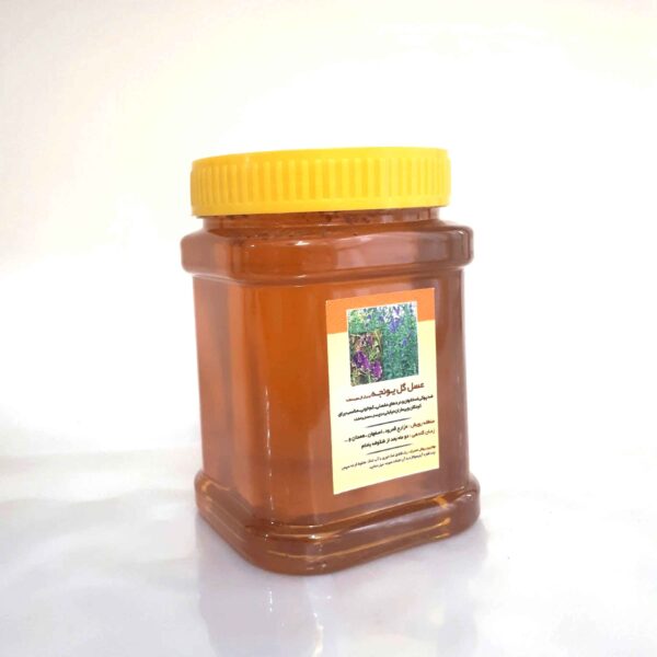عسل البرسيم الإيراني – حلاوة المراعي النقية (1000 جرام)