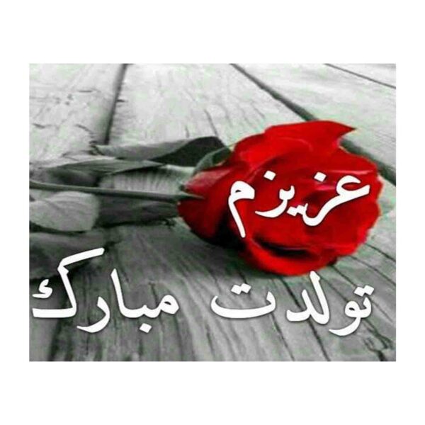 بطاقة تهنئة عيد ميلاد سعيد بتصميم أنيق لوردة حمراء