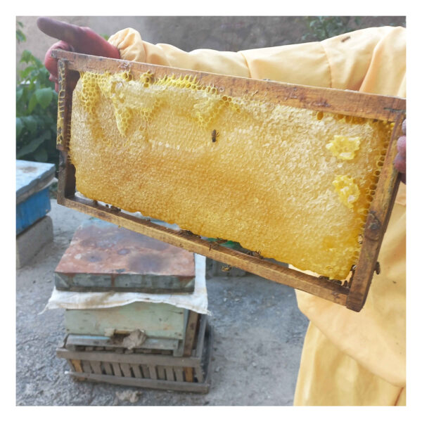 عسل سبلان حلاوة طبيعية من إيران 1000 جرام