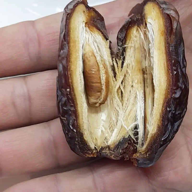 تمر إيراني عضوي من نوع مجهول مجفف – 2000 جرام