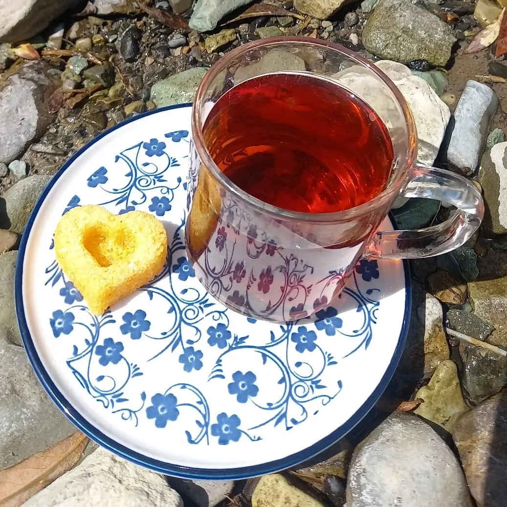 نبات إيراني أصيل بشكل قلب 21 قطعة