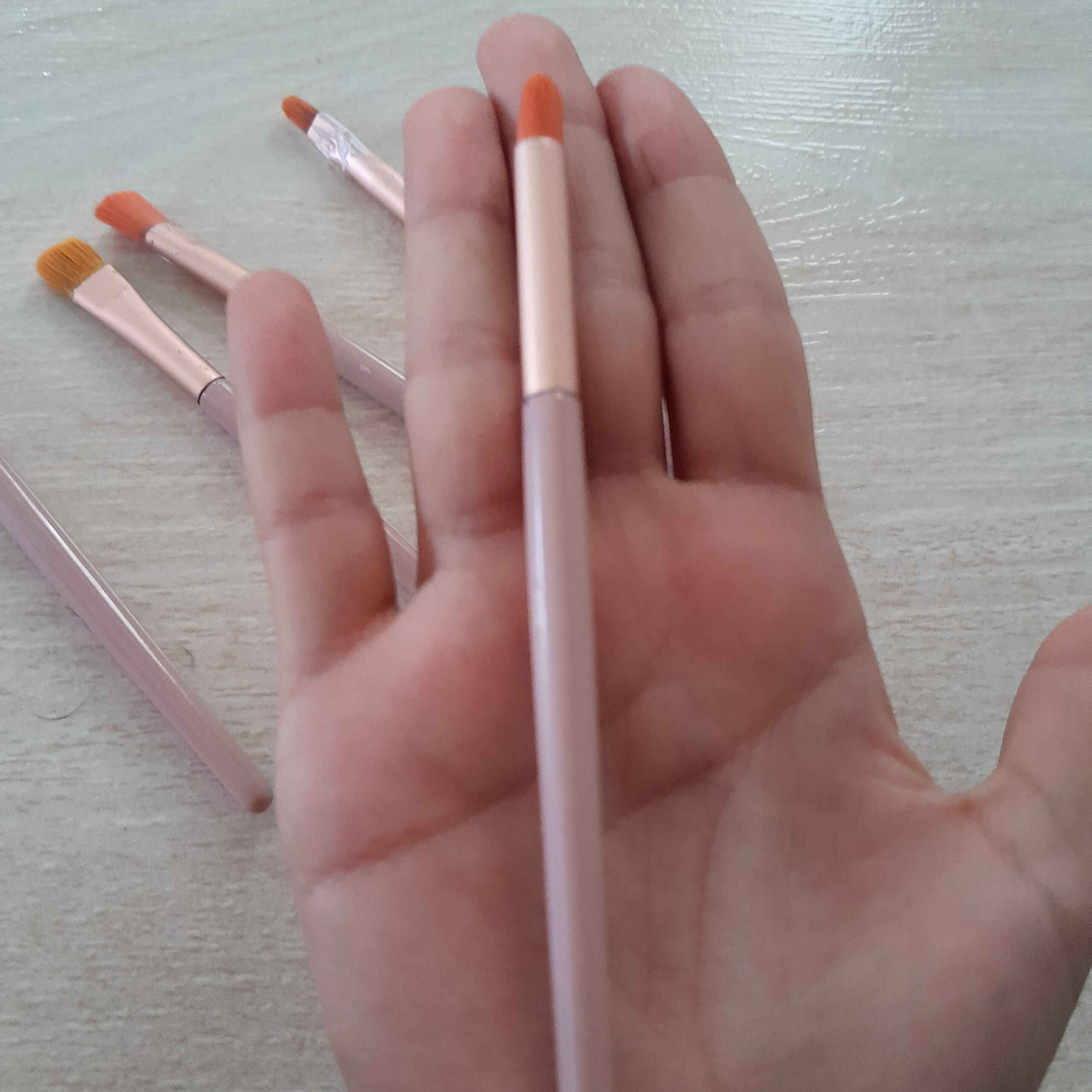 مجموعة فرش رسم 5 قطع بشعيرات فيلبيرت للألوان المائية والأكريليك والغواش