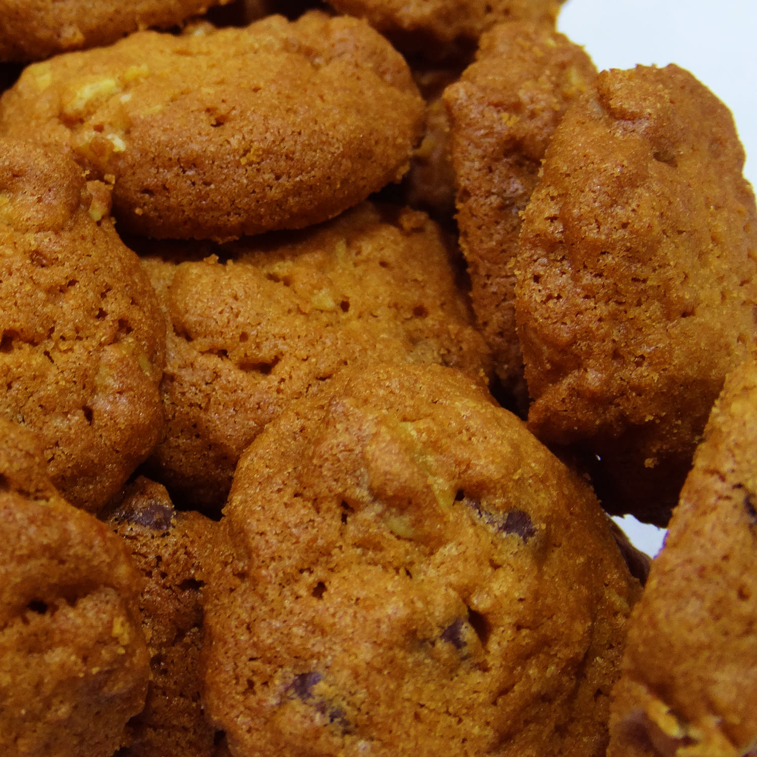 كعك الشعير الغذائي من قزوين 700 غرام (عبوتين)