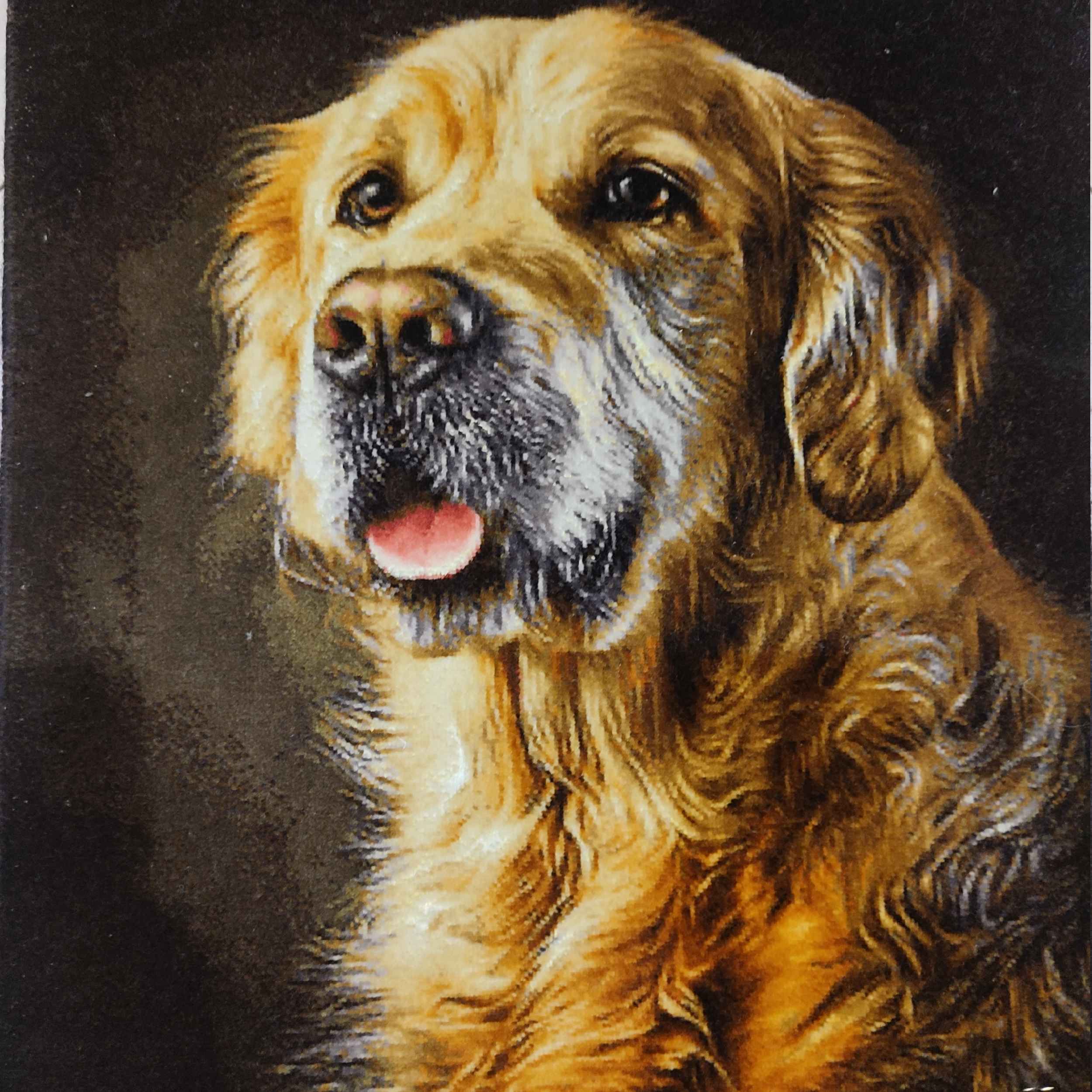 سجادة إيرانية تصويرية محبوكة يدويًا من تبريز تصور الكلب الذهبي