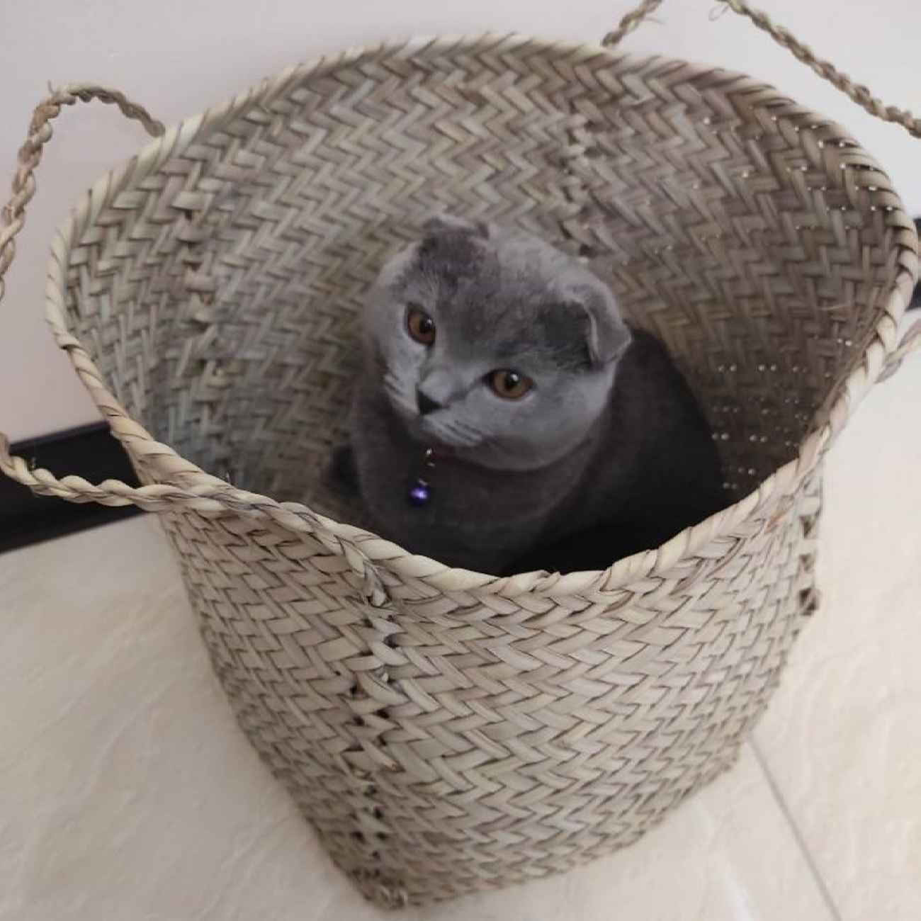 مجموعة من 3 سلال تخزين أوراق النخيل المنسوجة يدويًا