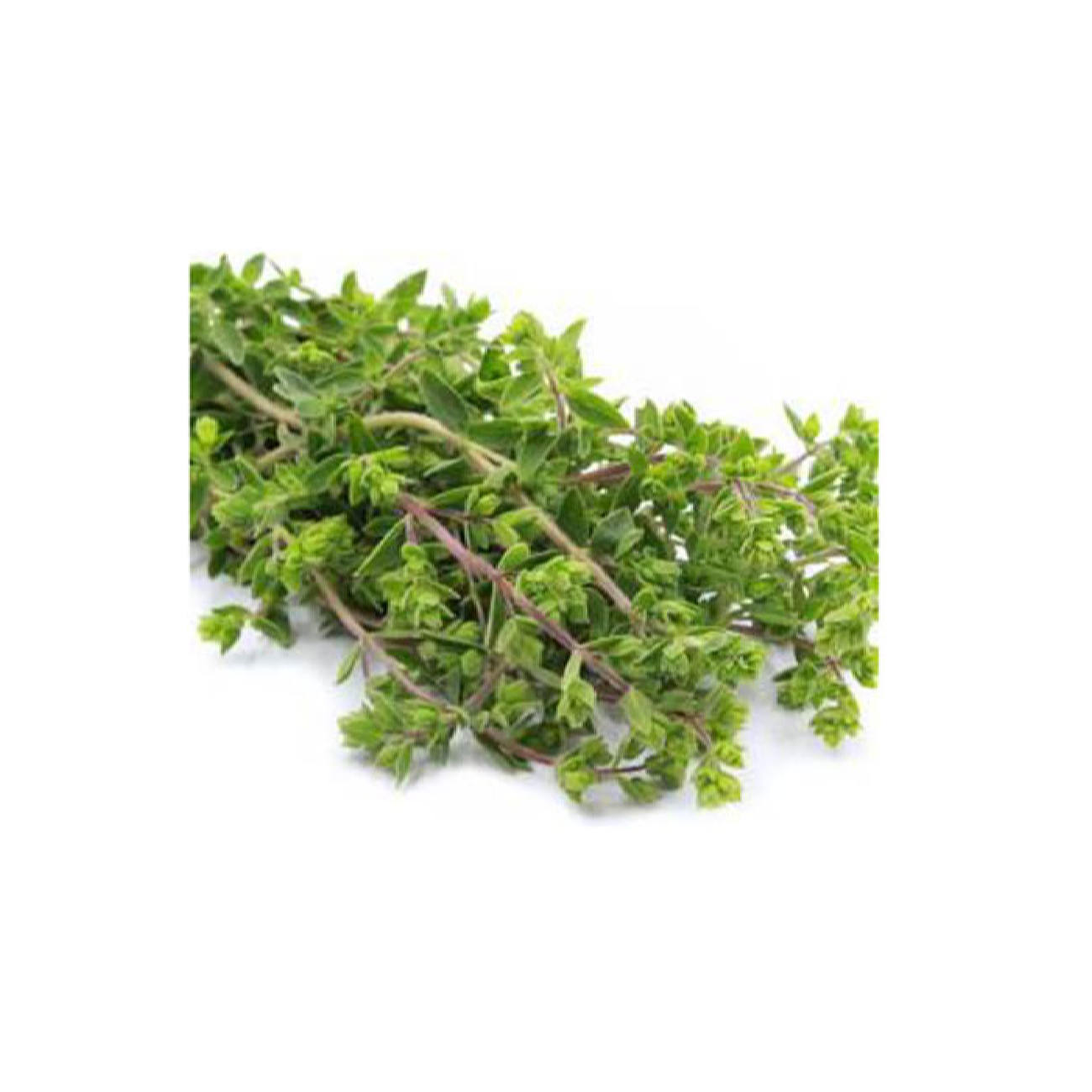 أوراق المردقوش الإيراني المجففة العضوية – 120 غرام