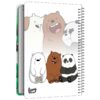 دفتر بتصميم We Bare Bears - من السيد راد (3 قطع)