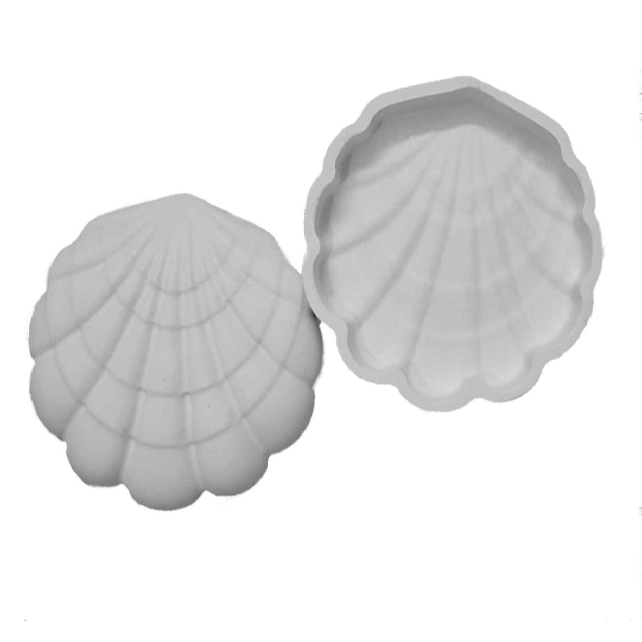 صندوق مجوهرات بتصميم قشرة البحر، مثالي لتنظيم ملحقاتك المفضلة