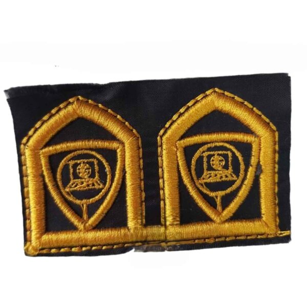 شارة عسكرية - شعار شرطة الإنترنت (فاتا) فرجا