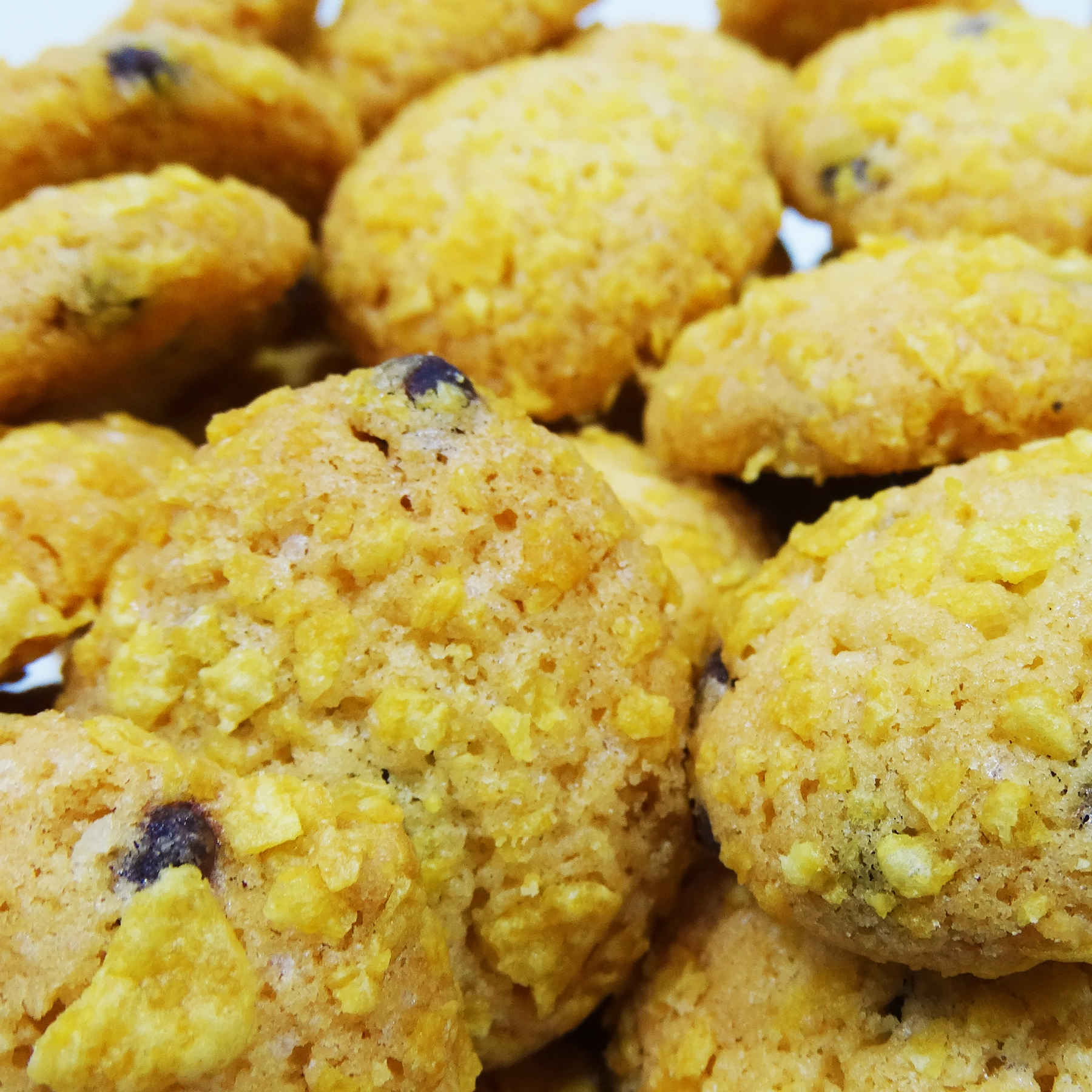 حلوى إيرانية – بسكويت جوز الهند بالشوكولاتة من قزوين بوزن 350 جرام