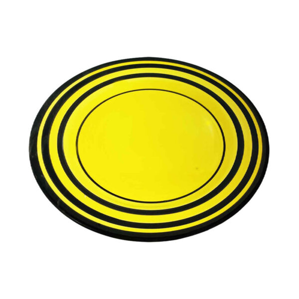 طبق العشاء الخزفي - آمن للاستخدام في الميكروويف وغسالة الأطباق - للاستخدام اليومي والمناسبات الخاصة