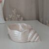 Seashell-Trinket-Dish-–-Suitable-for-Rings-Earrings-2