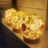 Handcrafted-Seashell-Touch-Lamp-and-Night-Light